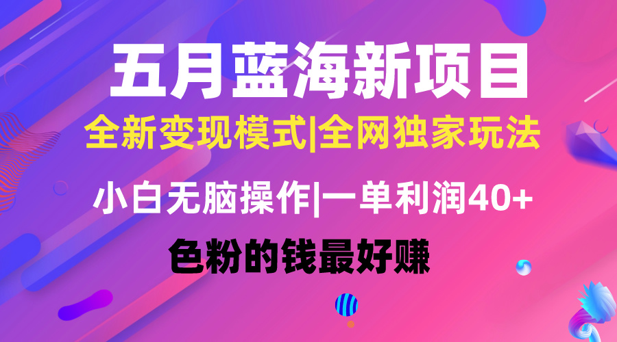 （10477期）五月蓝海项目全新玩法，小白无脑操作，一天几分钟，矩阵操作，月入4万+207-零度社区